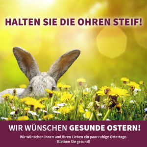 Halten Sie die Ohren steif! - Breidenbach Kaminbau